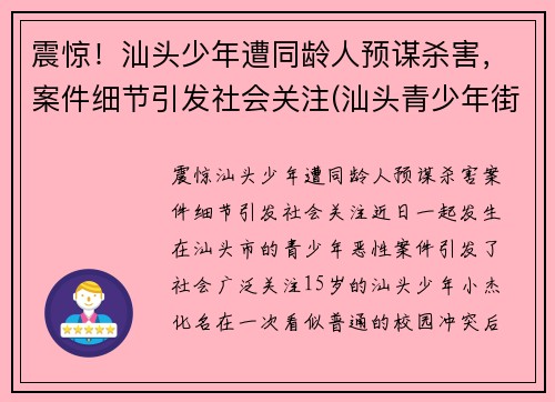 震惊！汕头少年遭同龄人预谋杀害，案件细节引发社会关注(汕头青少年街头斗殴视频)