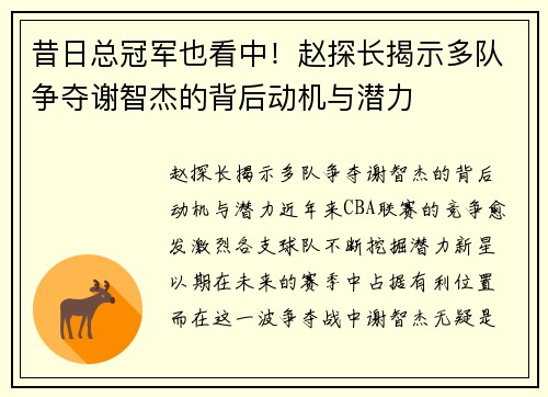 昔日总冠军也看中！赵探长揭示多队争夺谢智杰的背后动机与潜力